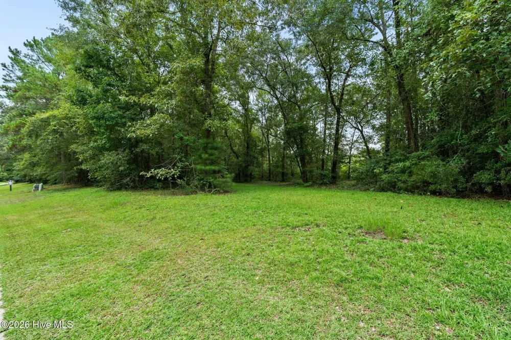 167 Falling Water Way Wallace, NC 28466
