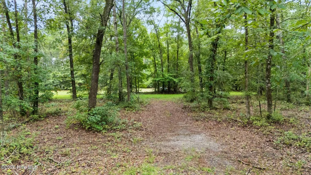 167 Falling Water Way Wallace, NC 28466