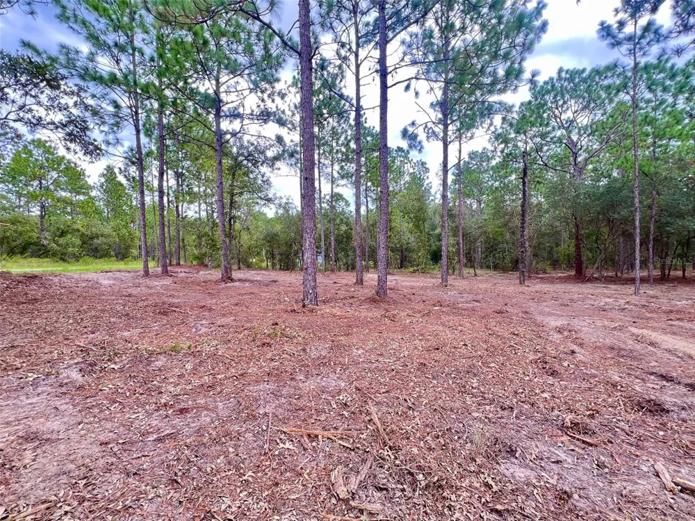 16 SW ANCHOR BOULEVARD Dunnellon, FL 34431