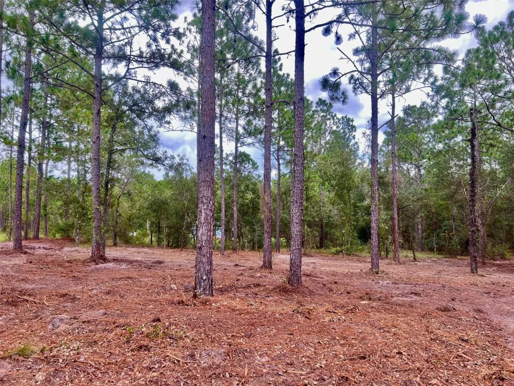 16 SW ANCHOR BOULEVARD Dunnellon, FL 34431