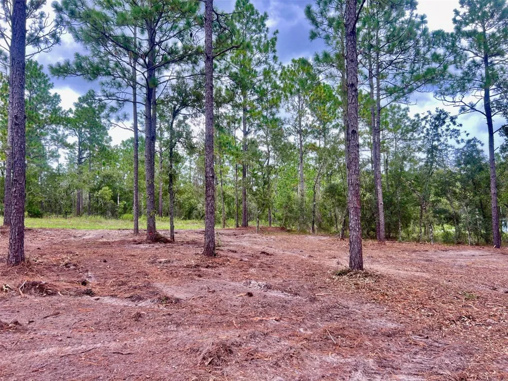 16 SW ANCHOR BOULEVARD Dunnellon, FL 34431