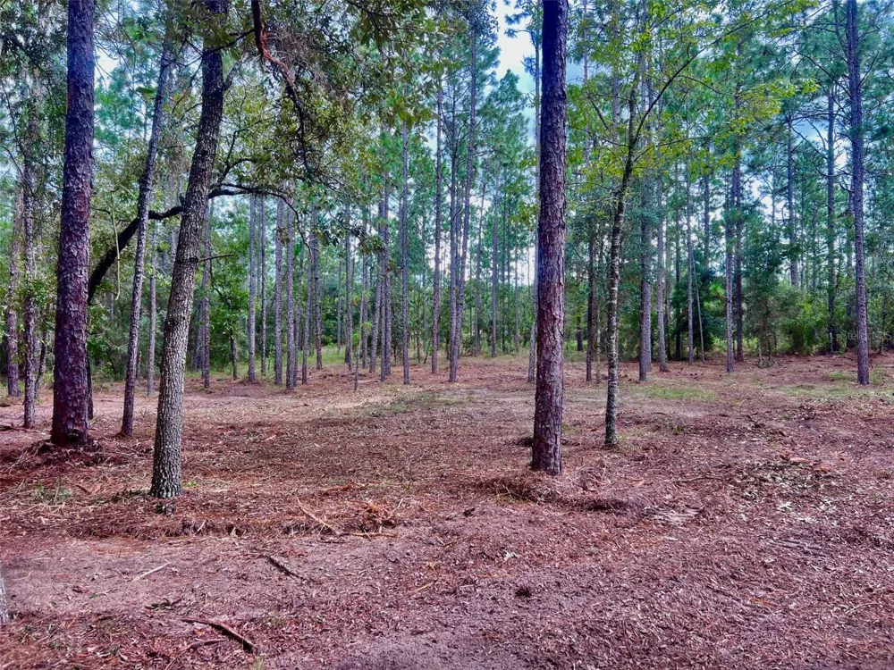 16 SW ANCHOR BOULEVARD Dunnellon, FL 34431