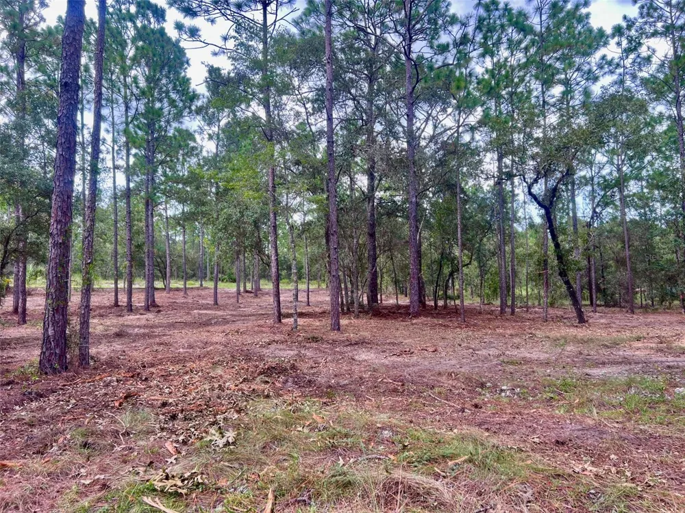 16 SW ANCHOR BOULEVARD Dunnellon, FL 34431