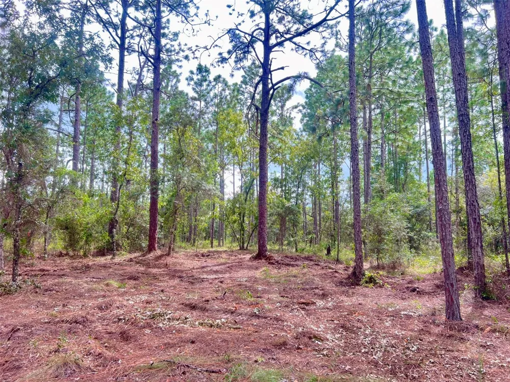 16 SW ANCHOR BOULEVARD Dunnellon, FL 34431