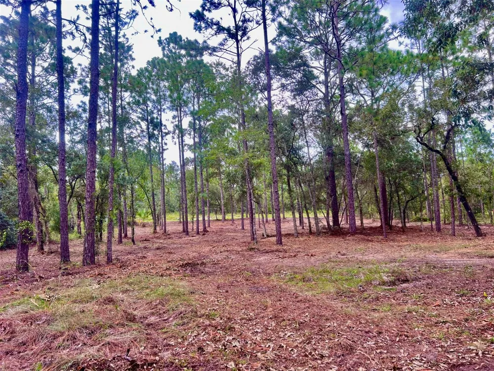 16 SW ANCHOR BOULEVARD Dunnellon, FL 34431