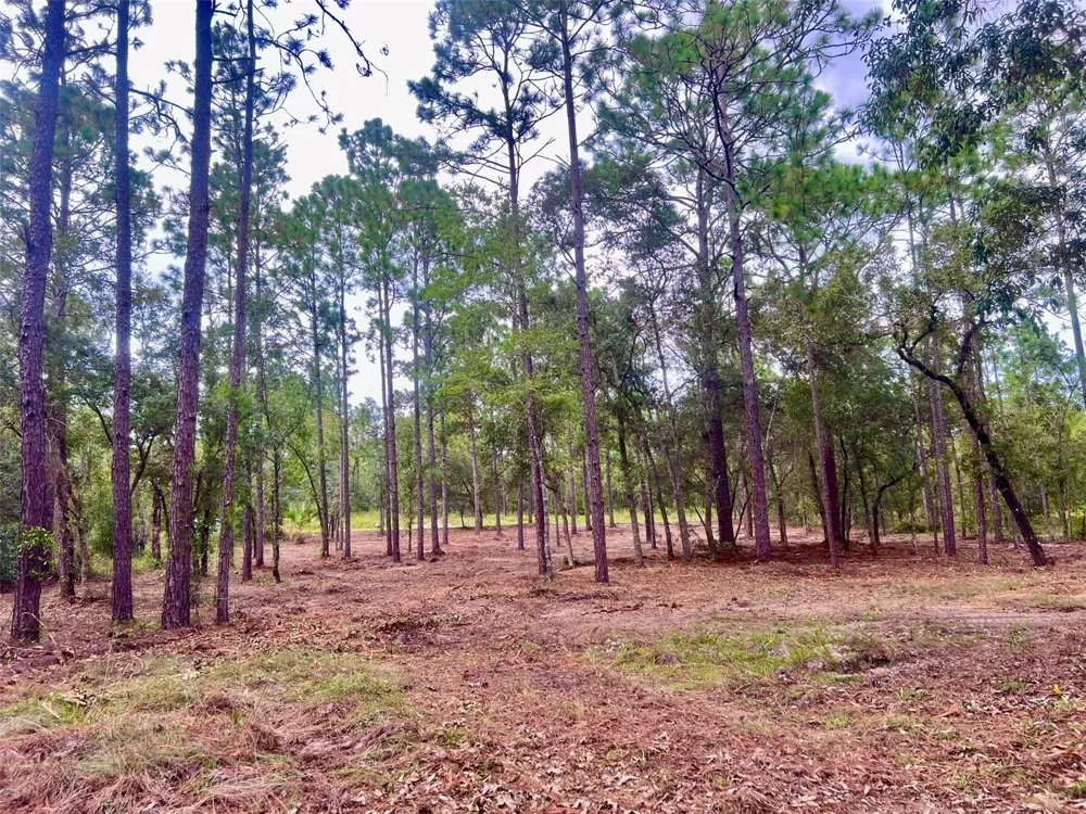 16 SW ANCHOR BOULEVARD Dunnellon, FL 34431