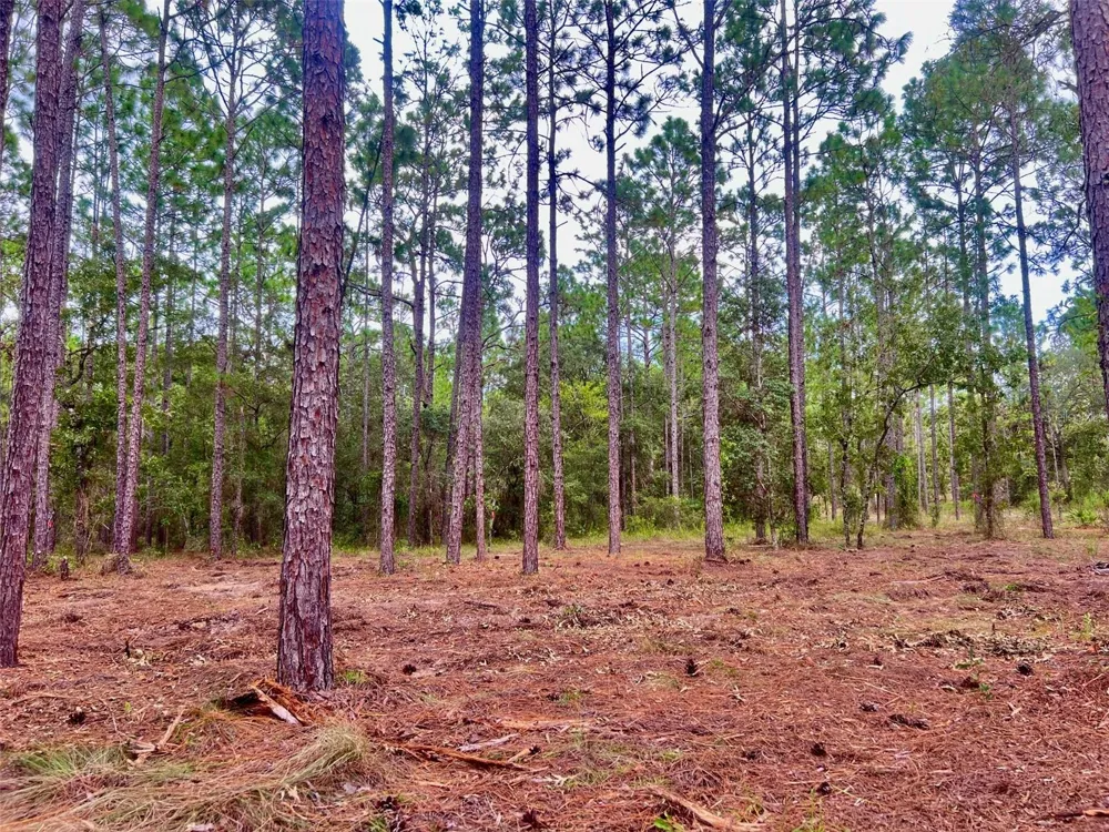 16 SW ANCHOR BOULEVARD Dunnellon, FL 34431