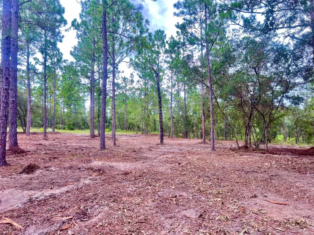 16 SW ANCHOR BOULEVARD Dunnellon, FL 34431