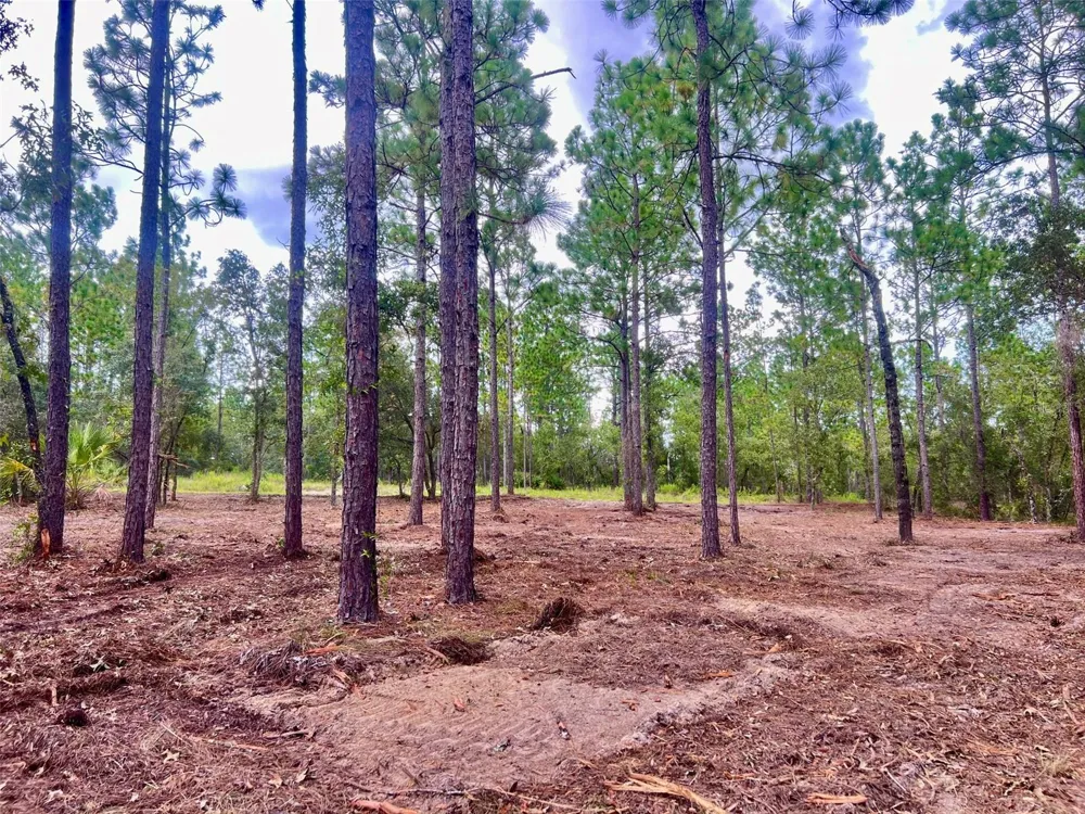 16 SW ANCHOR BOULEVARD Dunnellon, FL 34431
