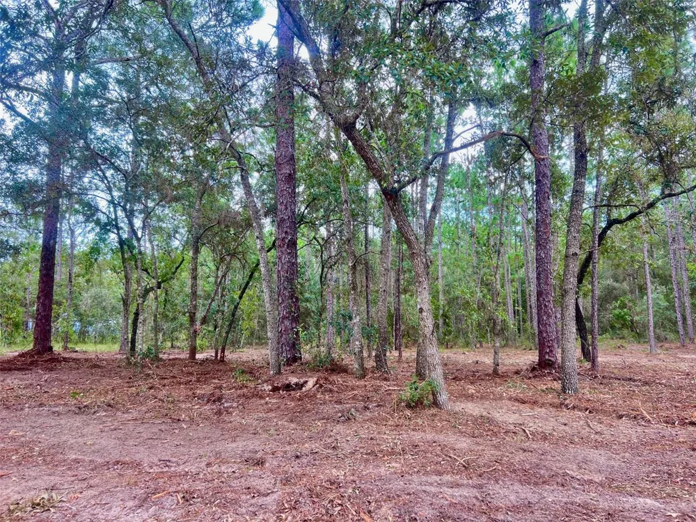16 SW ANCHOR BOULEVARD Dunnellon, FL 34431