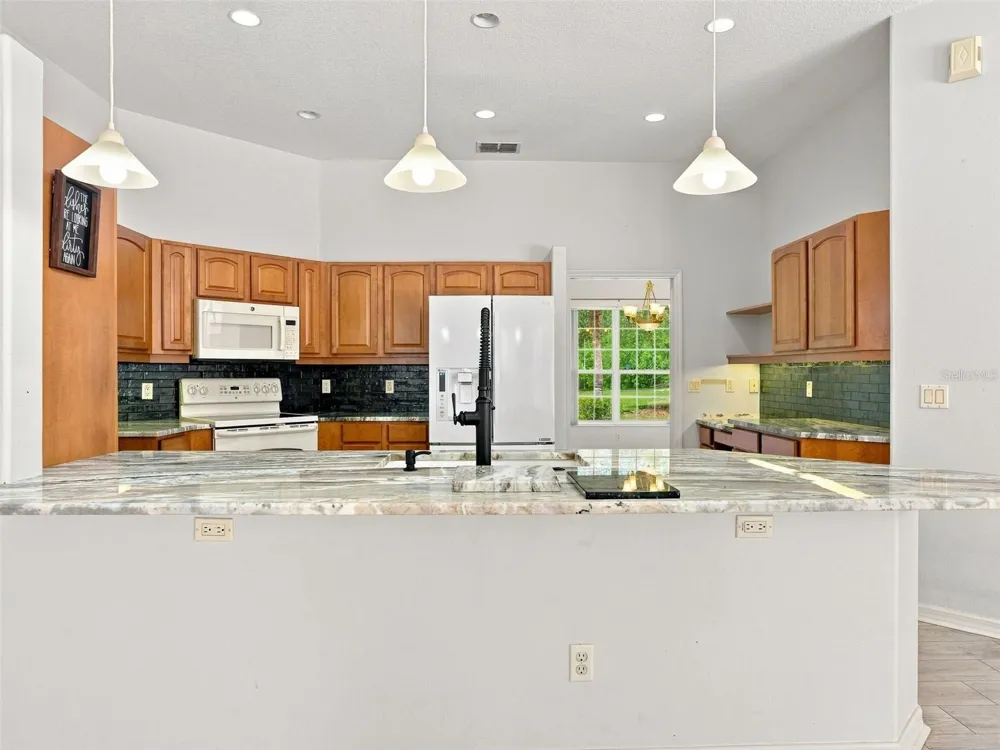 56 OAK VILLAGE BOULEVARD Homosassa, FL 34446