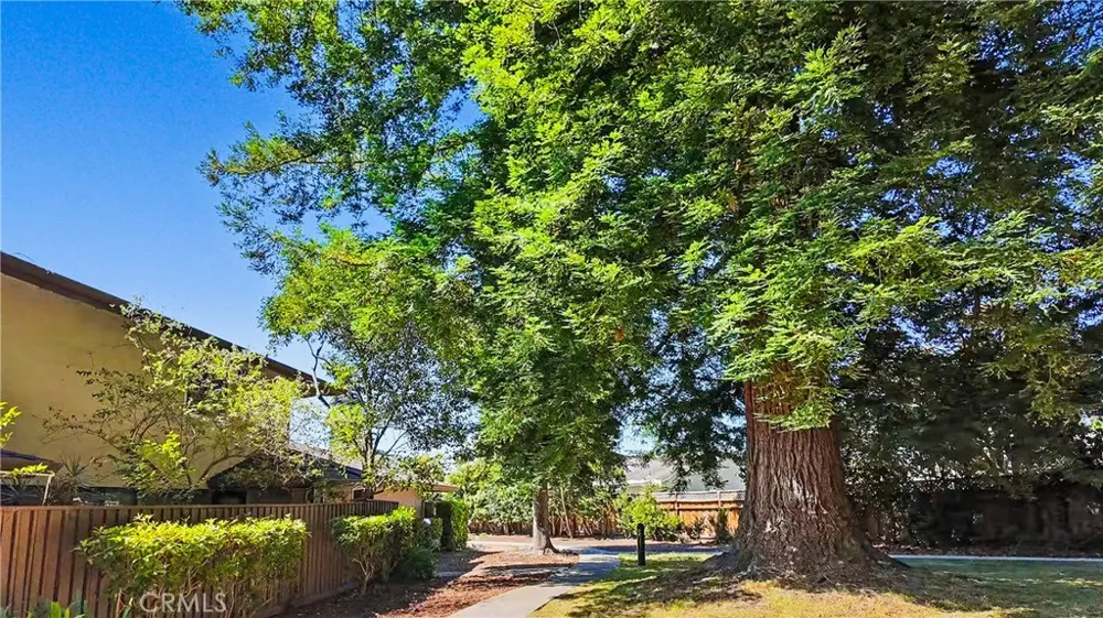 128 Castillion Terrace Santa Cruz, CA 95060