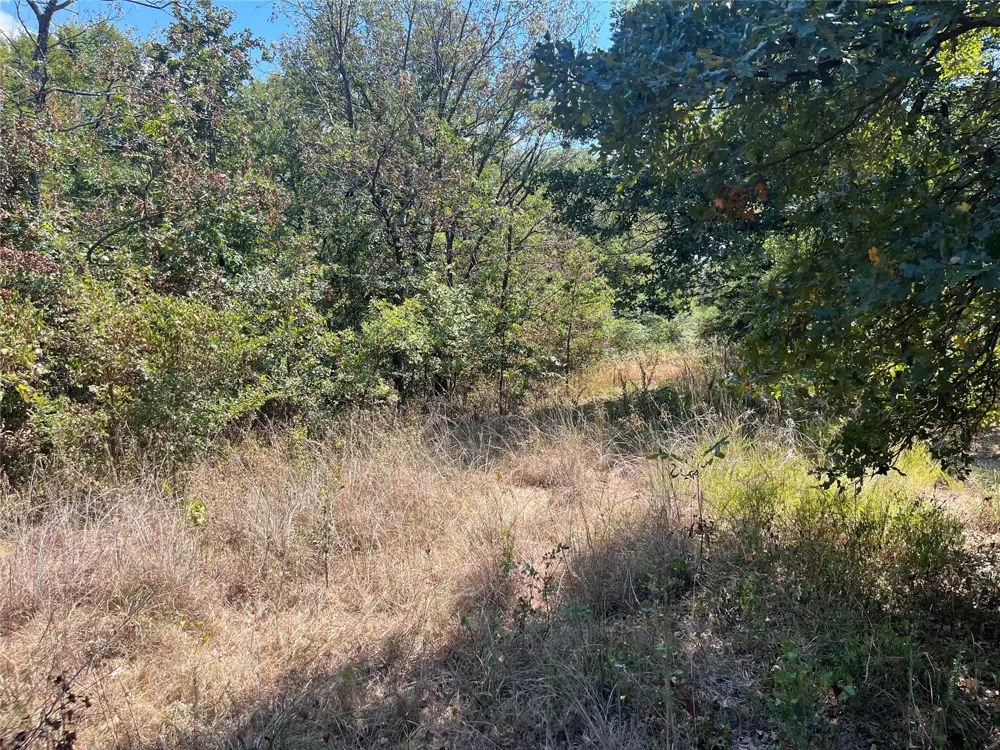 Kickapoo Avenue Kingston, OK 73439