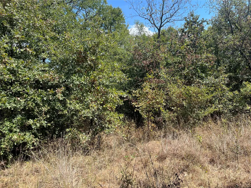 Kickapoo Avenue Kingston, OK 73439