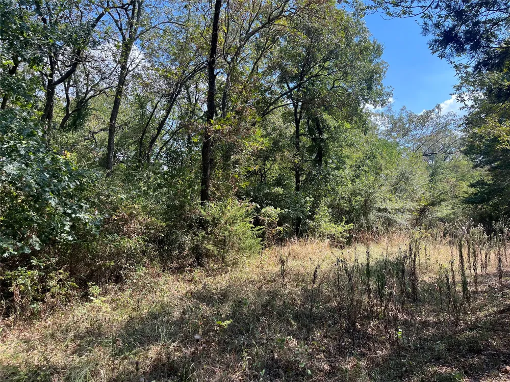 Kickapoo Avenue Kingston, OK 73439