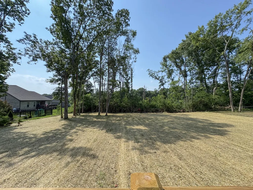 503 Claire Ct Lebanon, TN 37087