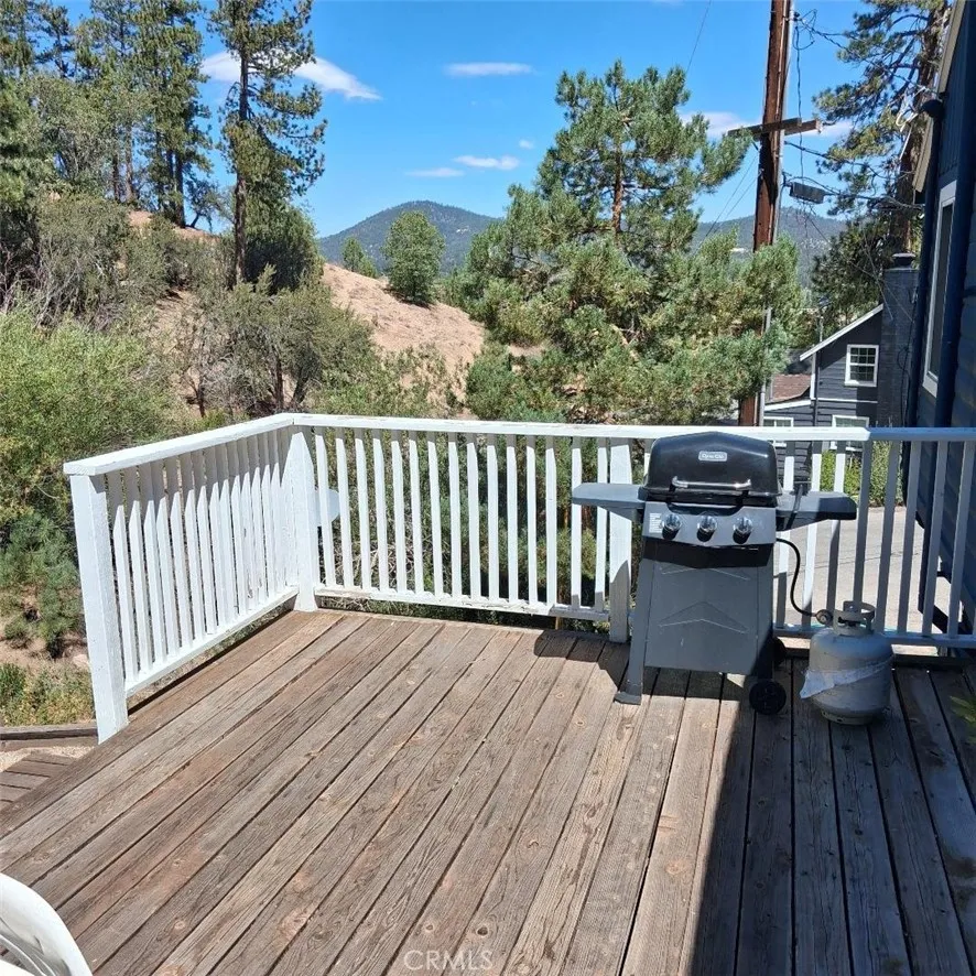 800 Cameron Drive Big Bear Lake, CA 92315