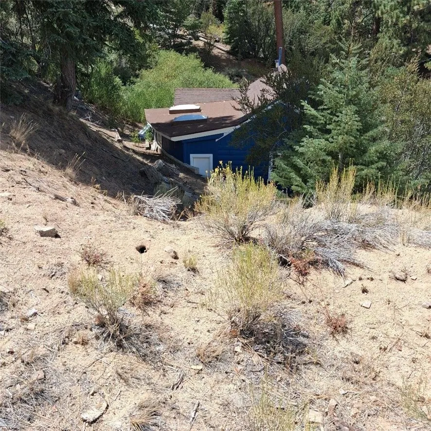 800 Cameron Drive Big Bear Lake, CA 92315
