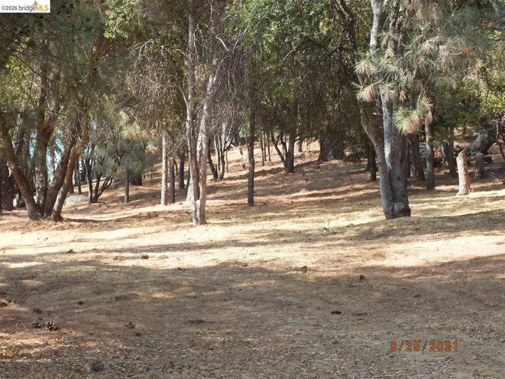 20650 Crescent Way Groveland, CA 95321