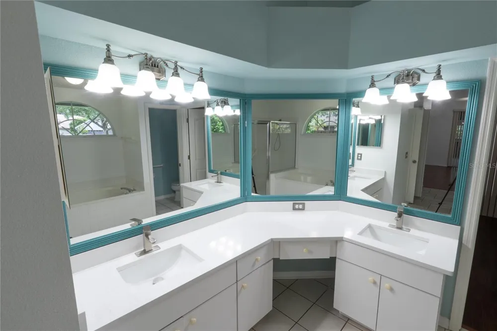 16505 LAKE HEATHER DRIVE Tampa, FL 33618