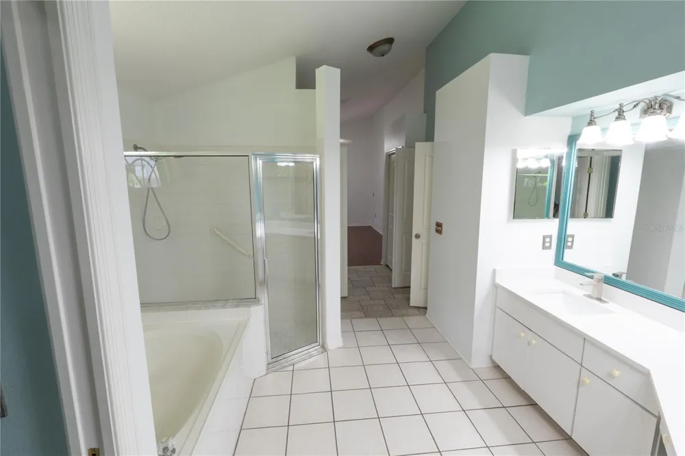 16505 LAKE HEATHER DRIVE Tampa, FL 33618
