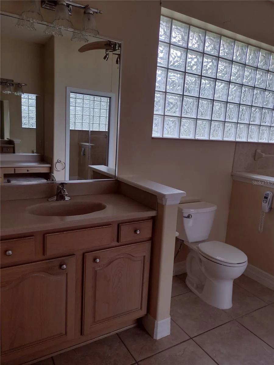 592 DOWLING CIRCLE Lady Lake, FL 32159