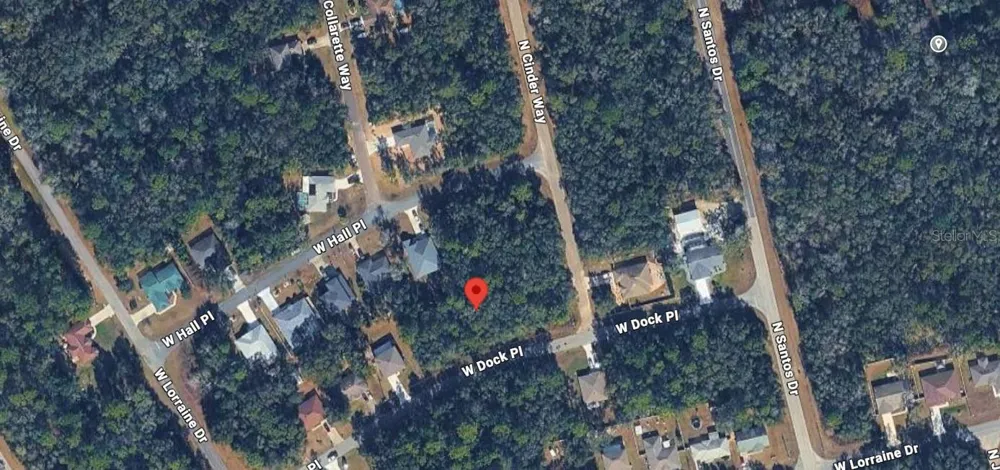 1727 W DOCK PLACE Citrus Springs, FL 34434