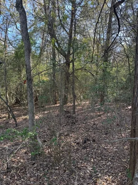 125 Helemano Drive Bastrop, TX 78602