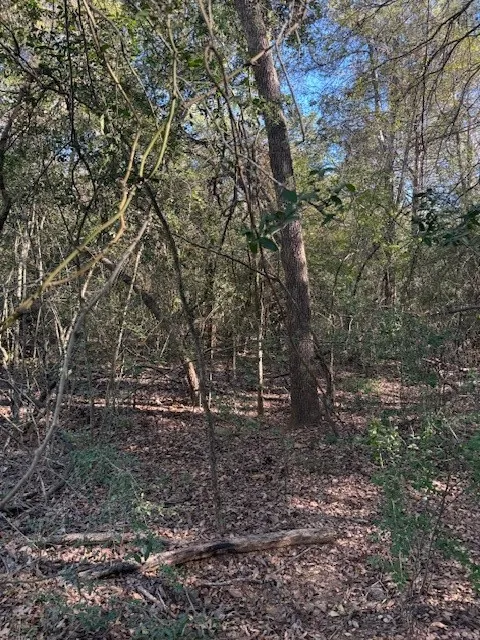 125 Helemano Drive Bastrop, TX 78602