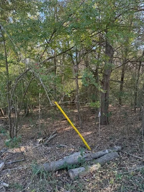 125 Helemano Drive Bastrop, TX 78602