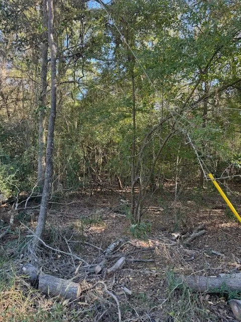 125 Helemano Drive Bastrop, TX 78602