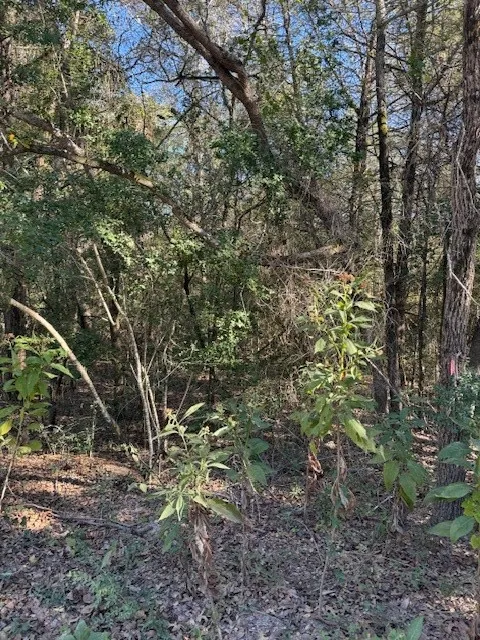 125 Helemano Drive Bastrop, TX 78602