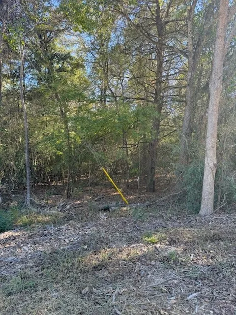 125 Helemano Drive Bastrop, TX 78602