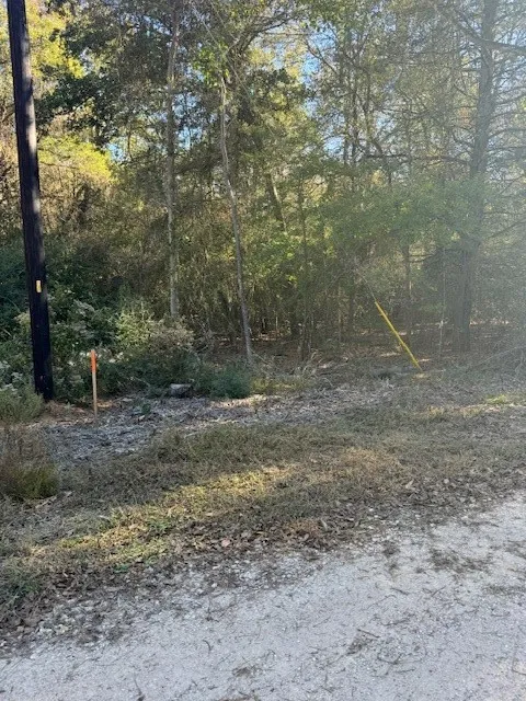 125 Helemano Drive Bastrop, TX 78602