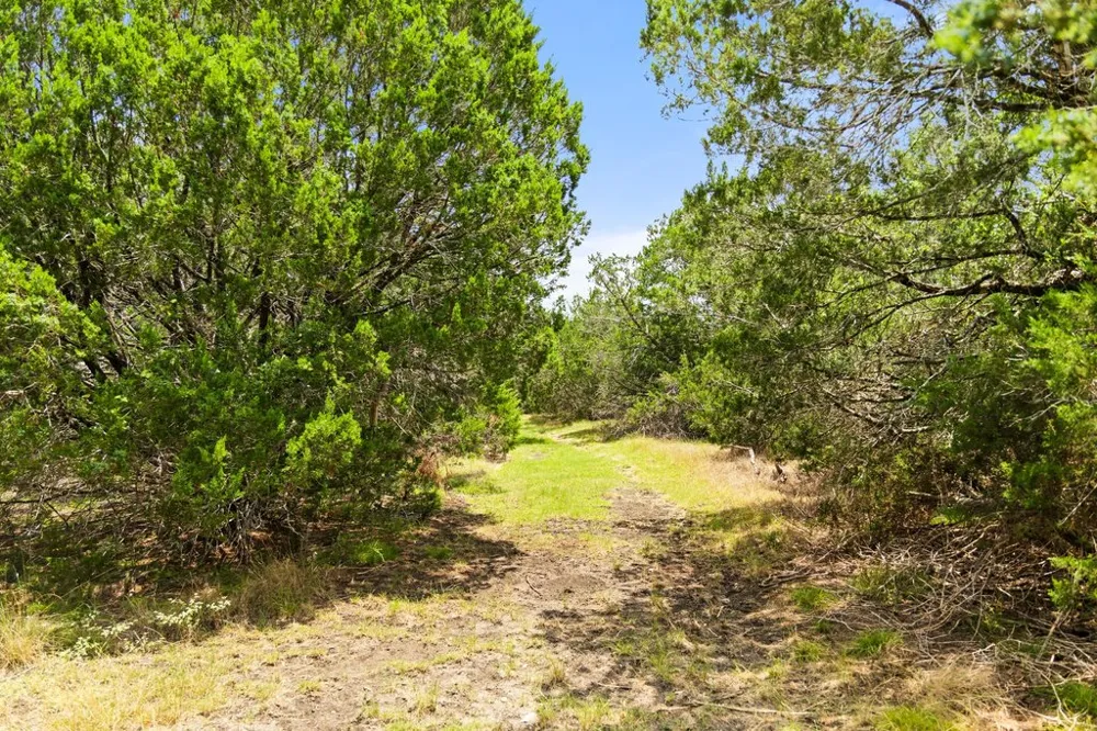 1984 Grape Creek Road Fredericksburg, TX 78624