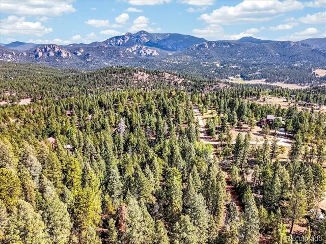 12907 S Cindy Avenue Pine, CO 80470
