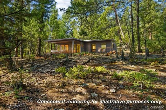 12907 S Cindy Avenue Pine, CO 80470