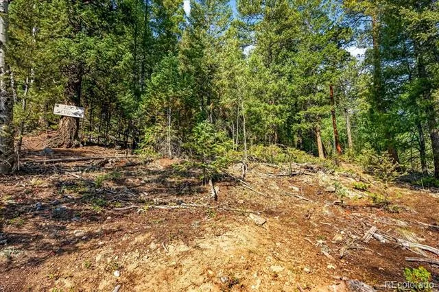 12907 S Cindy Avenue Pine, CO 80470