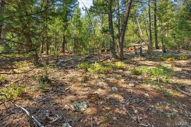 12907 S Cindy Avenue Pine, CO 80470