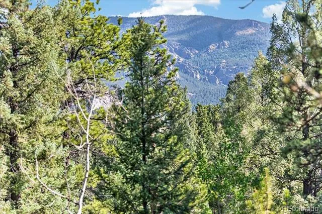 12907 S Cindy Avenue Pine, CO 80470