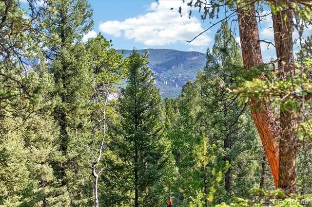 12907 S Cindy Avenue Pine, CO 80470