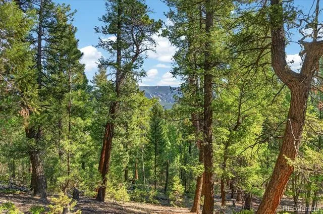 12907 S Cindy Avenue Pine, CO 80470
