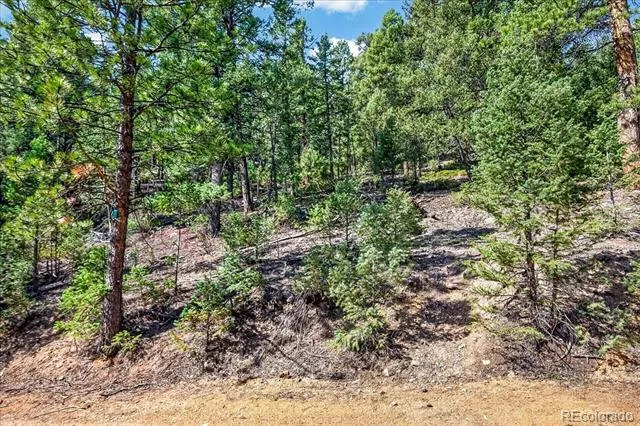 12907 S Cindy Avenue Pine, CO 80470