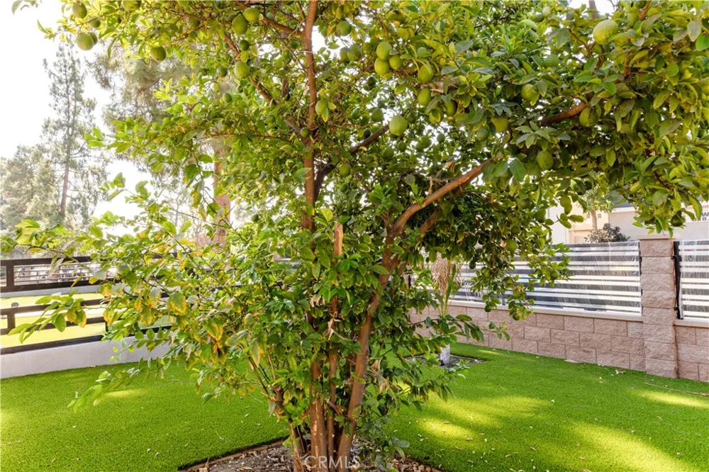 16857 Chatsworth Granada Hills, CA 91344