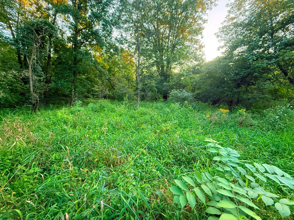 Onondaga Holt, MI 48842