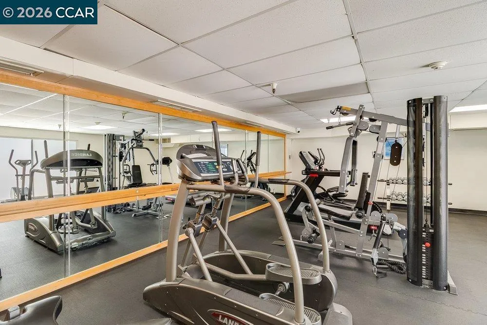 3173 Wayside Plaza #301 Walnut Creek, CA 94597