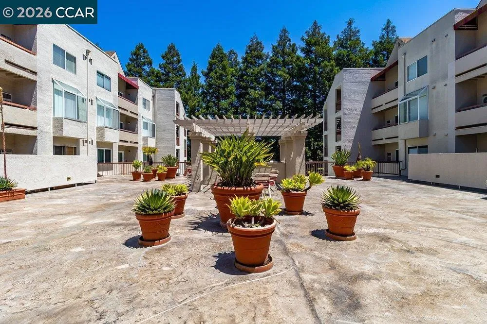3173 Wayside Plaza #301 Walnut Creek, CA 94597