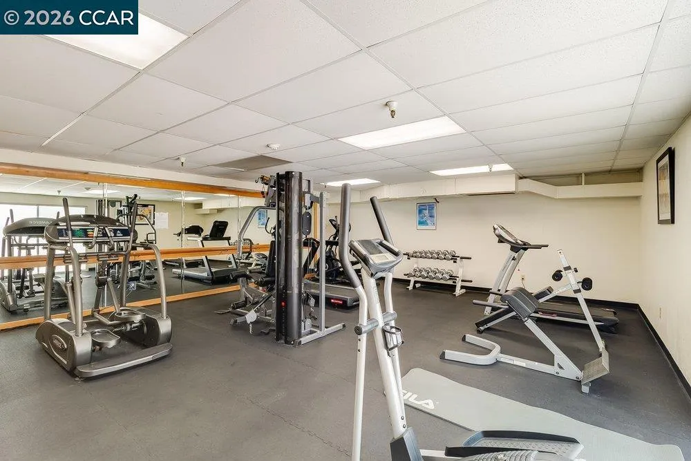 3173 Wayside Plaza #301 Walnut Creek, CA 94597