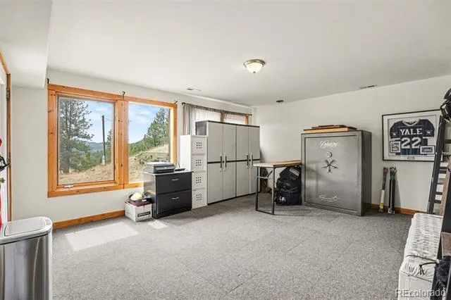 220 Rocky Mountain View Divide, CO 80814