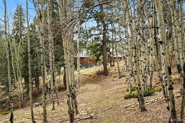 220 Rocky Mountain View Divide, CO 80814